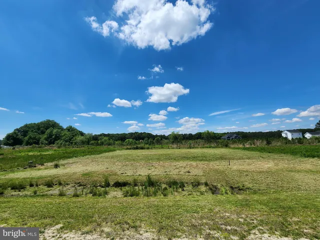 a view of a lake with lawn chairs and large trees
