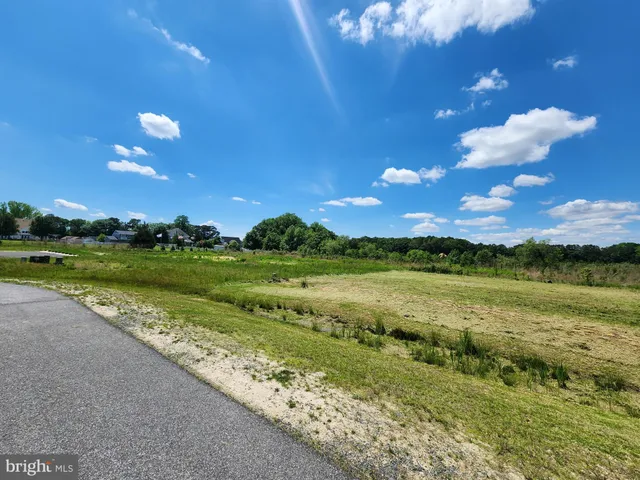 a view of a lake and a yard