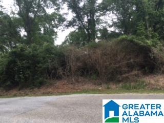0 North Dakota Road, Unit 1 Thorsby, AL 35171 - Photo 5 of 6