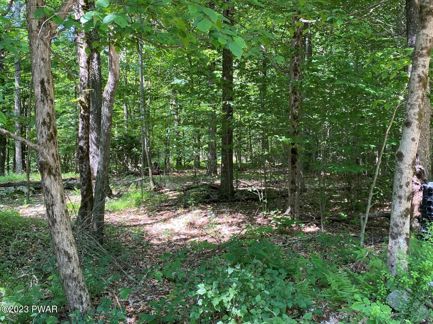 Timbertop Acres Newfoundland, PA 18445 - Photo 8 of 23