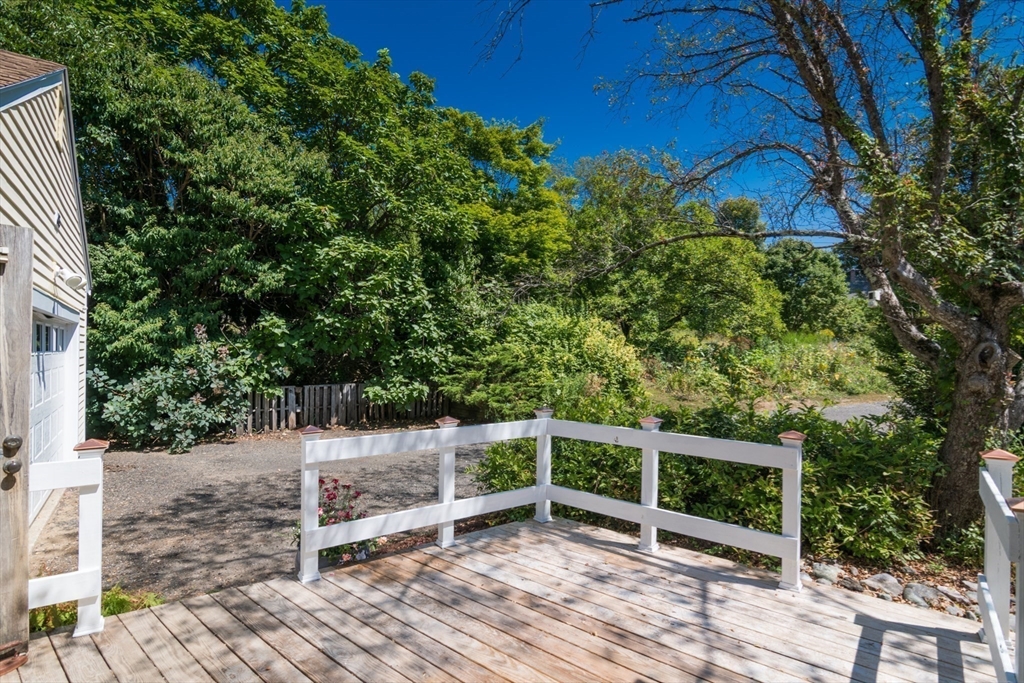 45 Cave Hill Road Leverett, MA 01054 - Photo 40 of 42 a view of a backyard with plants and large trees