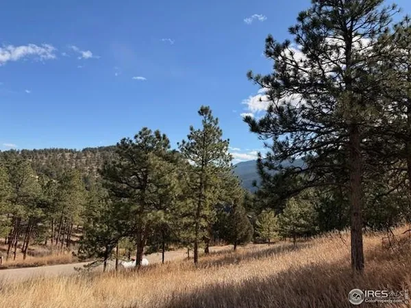 a view of a yard with wooden fence and trees