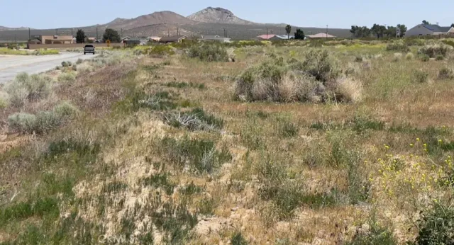 a view of an outdoor space with green field and trees