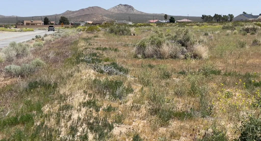 0 South Loop Edwards, CA 93523 - Photo 6 of 14 a view of an outdoor space with green field and trees