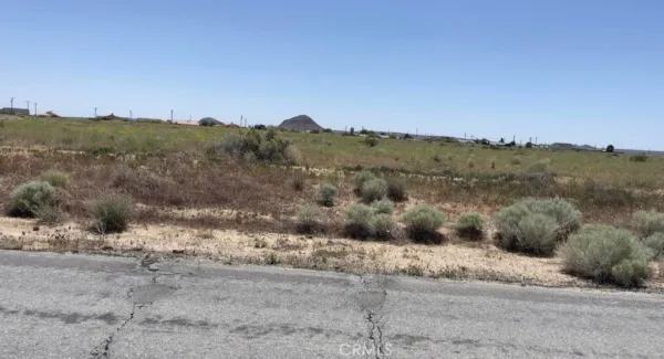 a view of a dry yard with mountains in the background