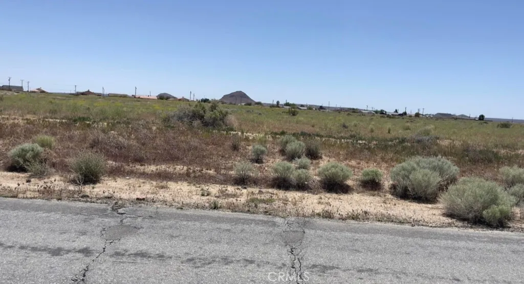 0 South Loop Edwards, CA 93523 - Photo 8 of 14 a view of a dry yard with mountains in the background