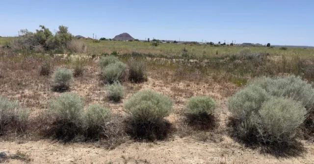 a view of a yard with a mountain