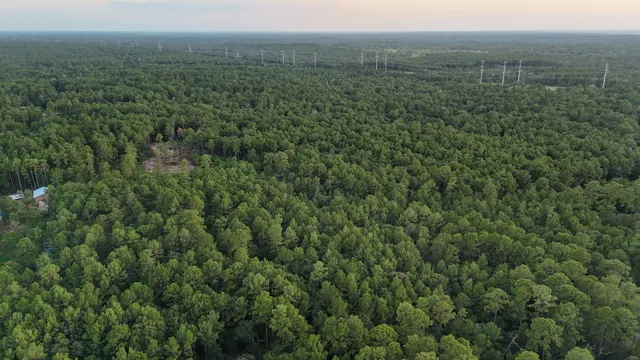 a view of a green field with lots of bushes