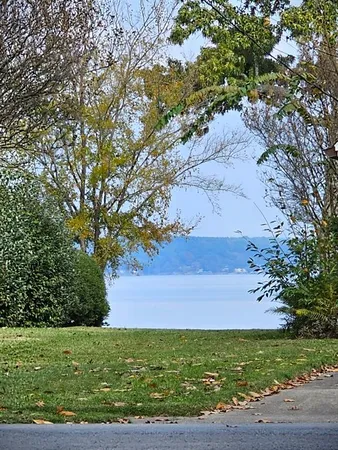 a view of a field with an ocean