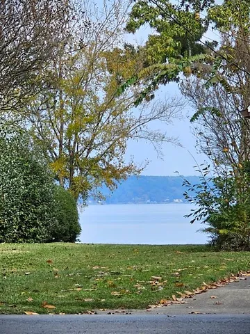 a view of a field with an ocean