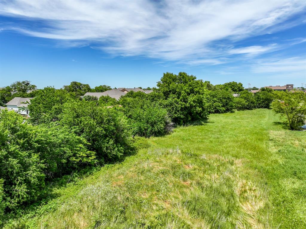 8701 Liberty Grove Road Rowlett, TX 75089 - Photo 15 of 18 a view of a yard with plants and a tree