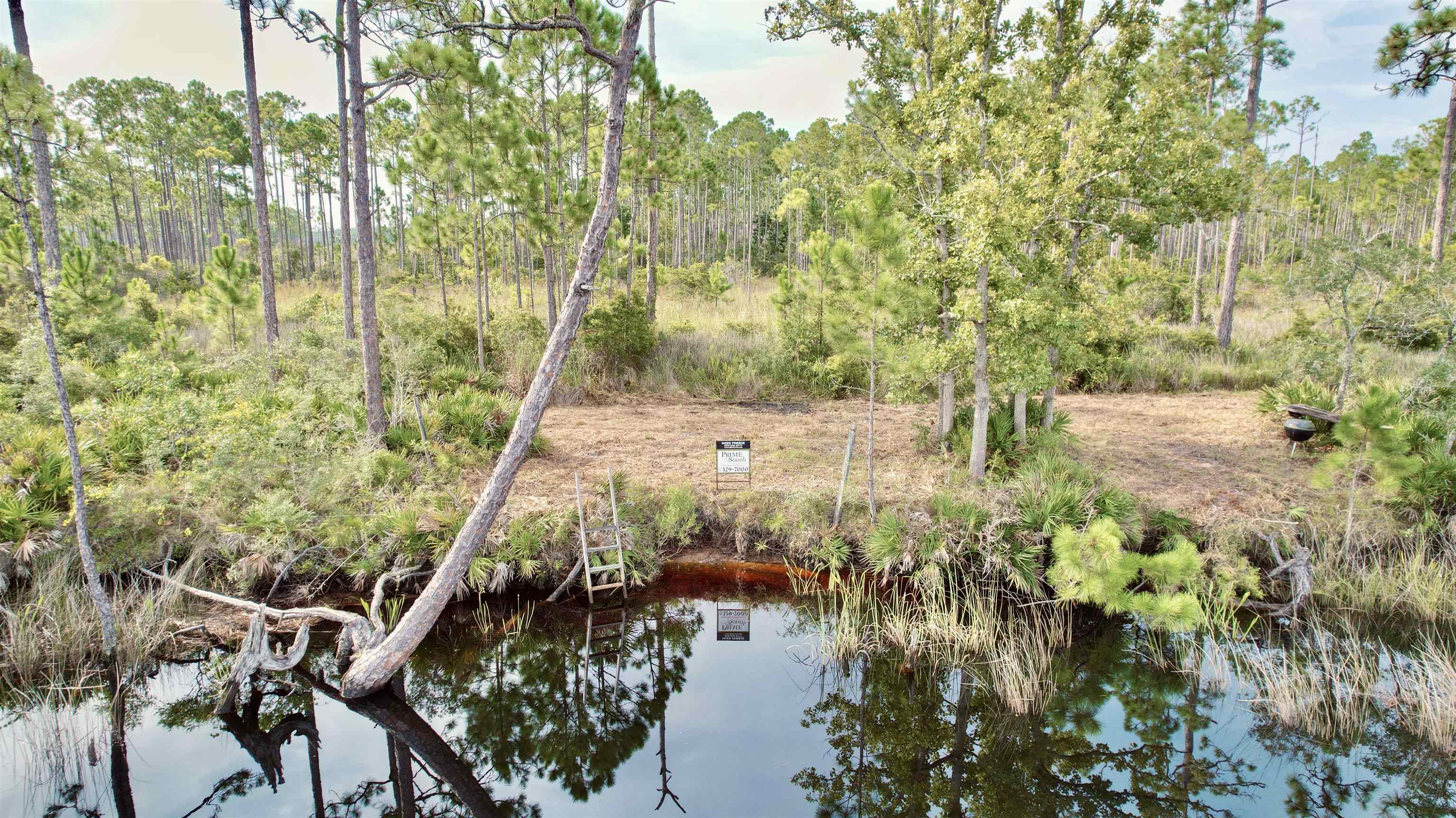 Xx Mill Road Carrabelle, FL 32322 - Photo 7 of 17