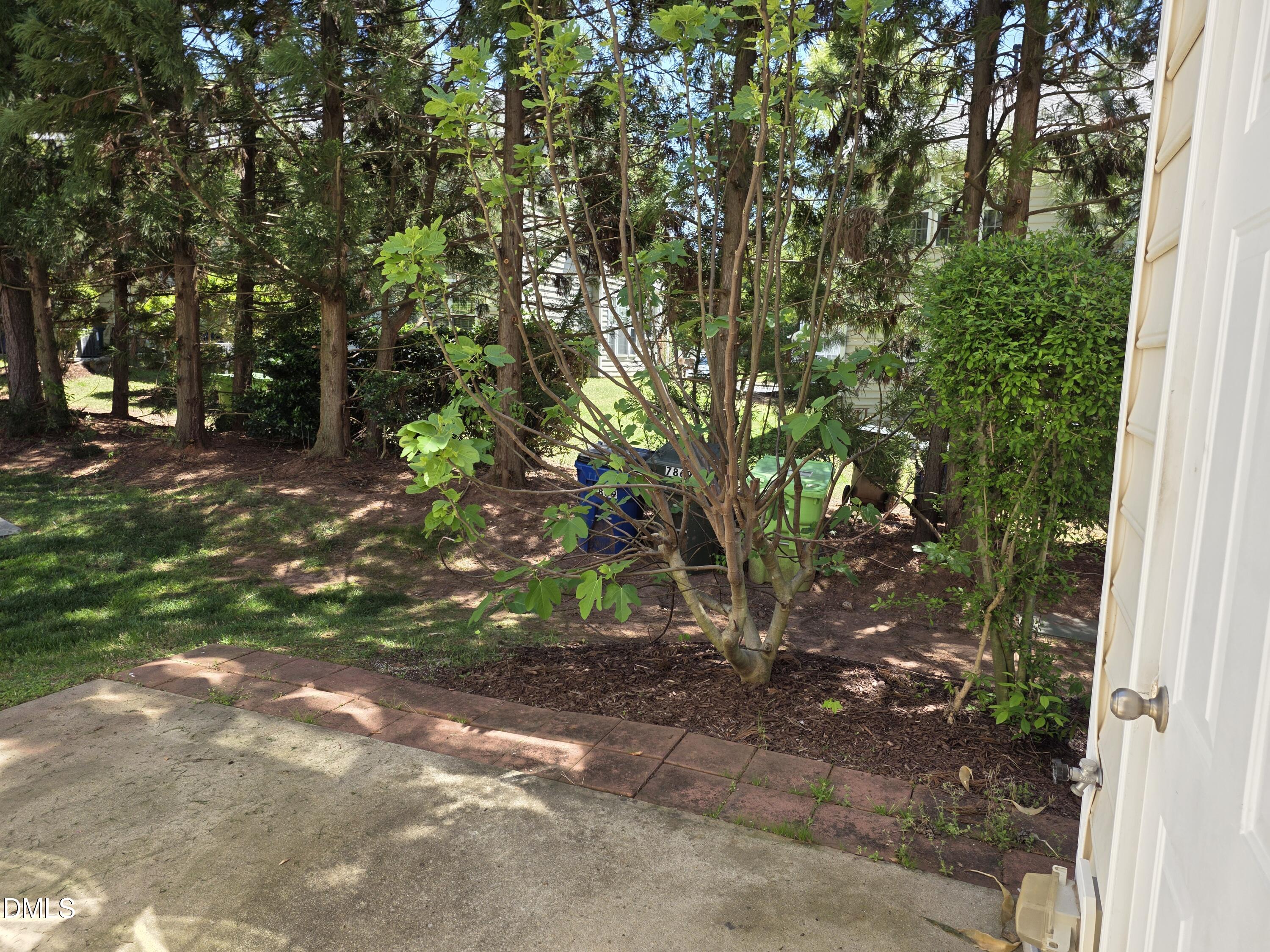 7869 Spungold Street Raleigh, NC 27617 - Photo 16 of 18 20260410_134946