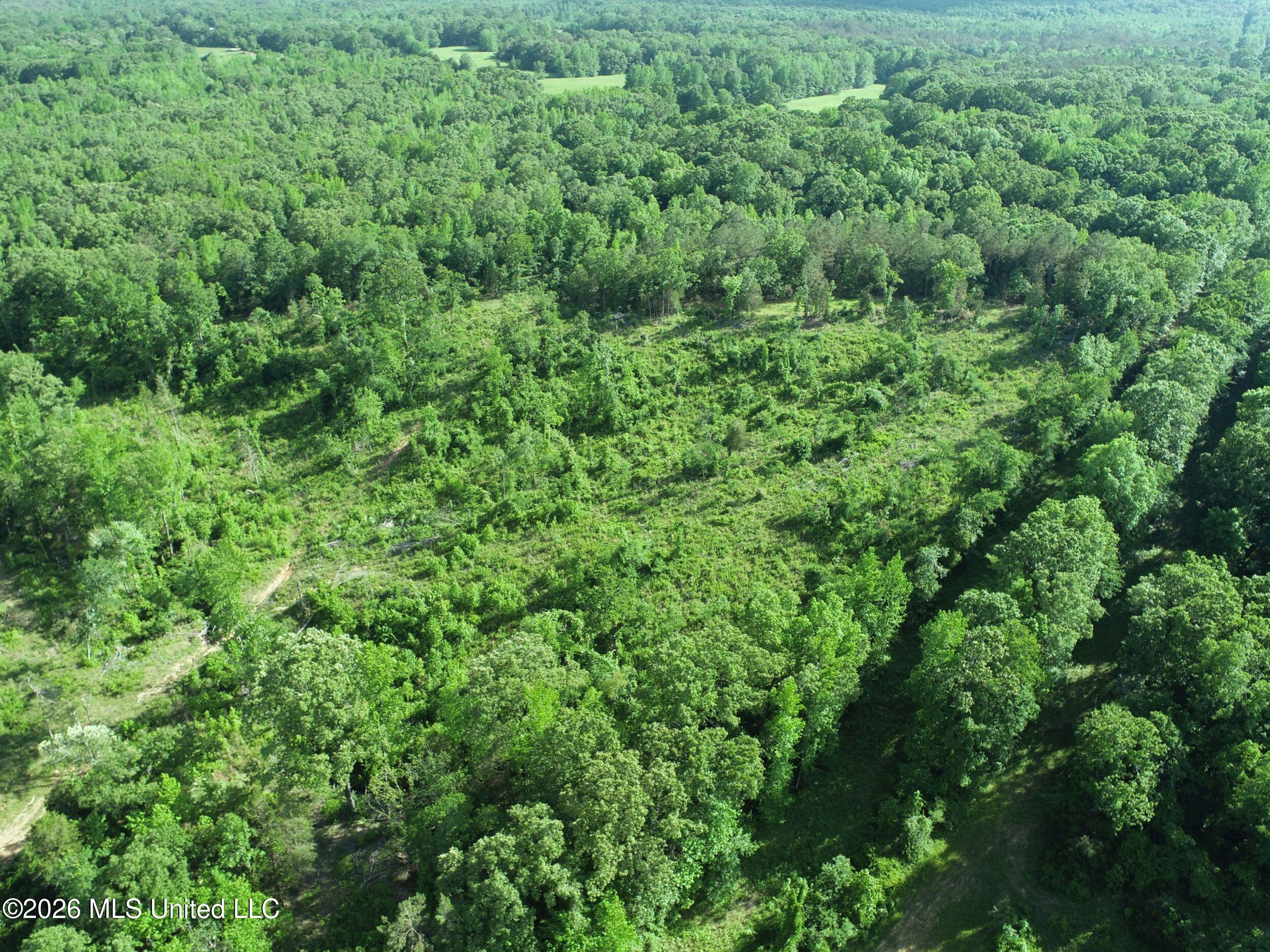 Wayne Massie Road Como, MS 38619 - Photo 59 of 184 3ctwmrd41