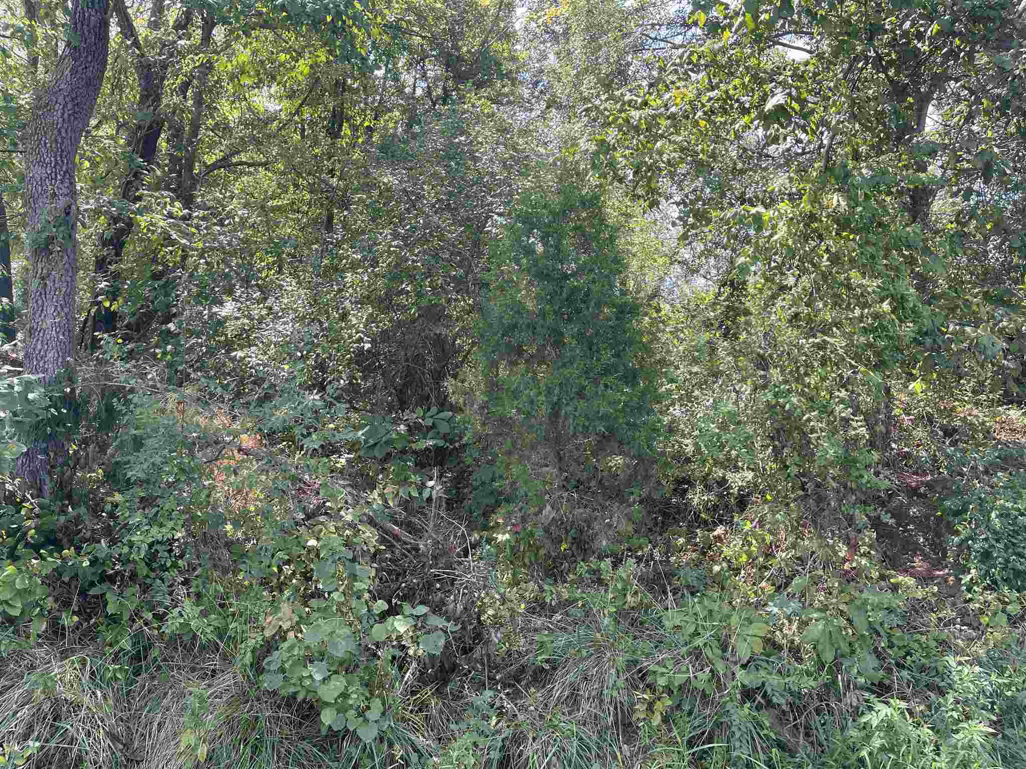0 Ditney Hill Road Elberfeld, IN 47613 - Photo 3 of 4