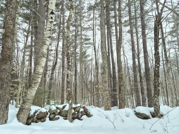 $18,500 | R06-l75-76 Staples Pond Road, Temple, ME 04984