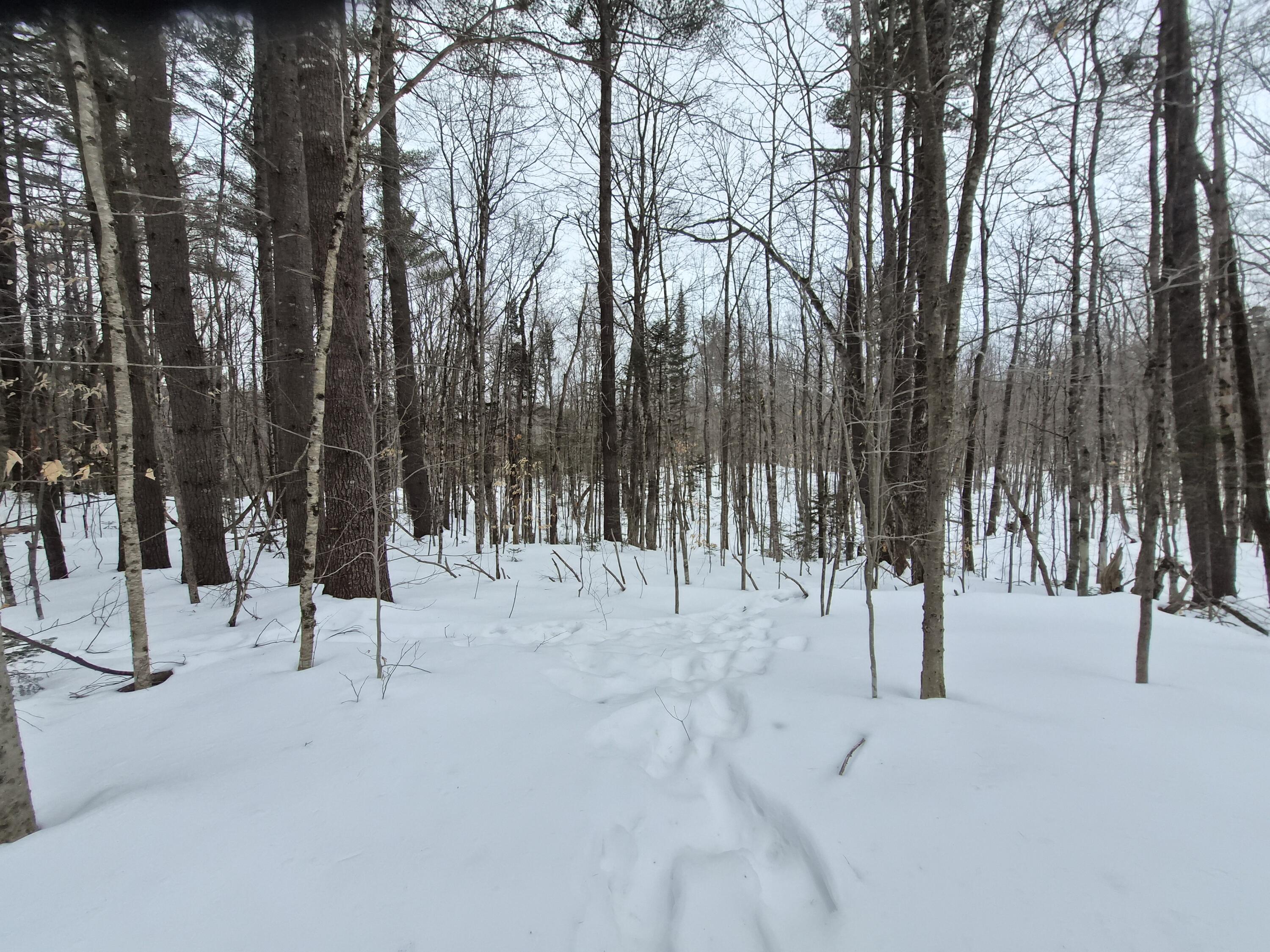 R06-l75-76 Staples Pond Road Temple, ME 04984 - Photo 3 of 6 20260217_163151