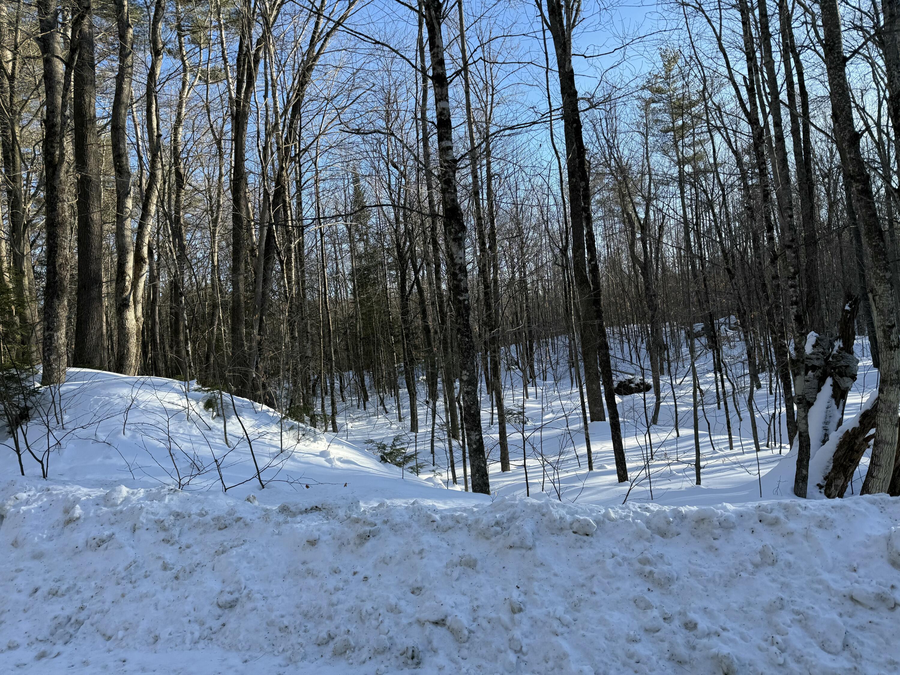R06-l75-76 Staples Pond Road Temple, ME 04984 - Photo 4 of 6 IMG_20260217_150907