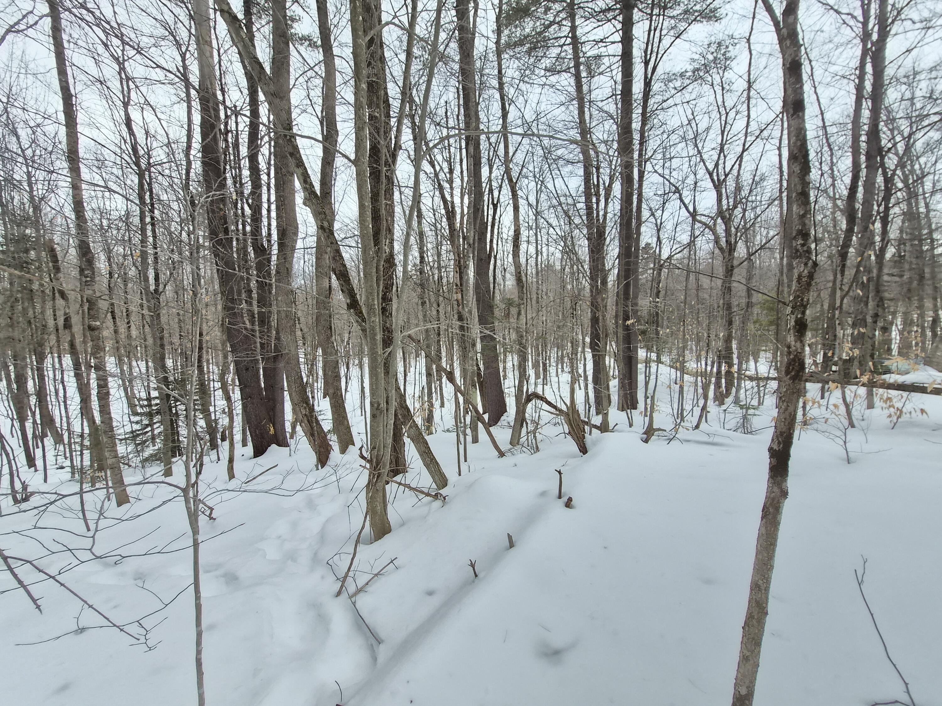 R06-l75-76 Staples Pond Road Temple, ME 04984 - Photo 5 of 6 20260217_163214