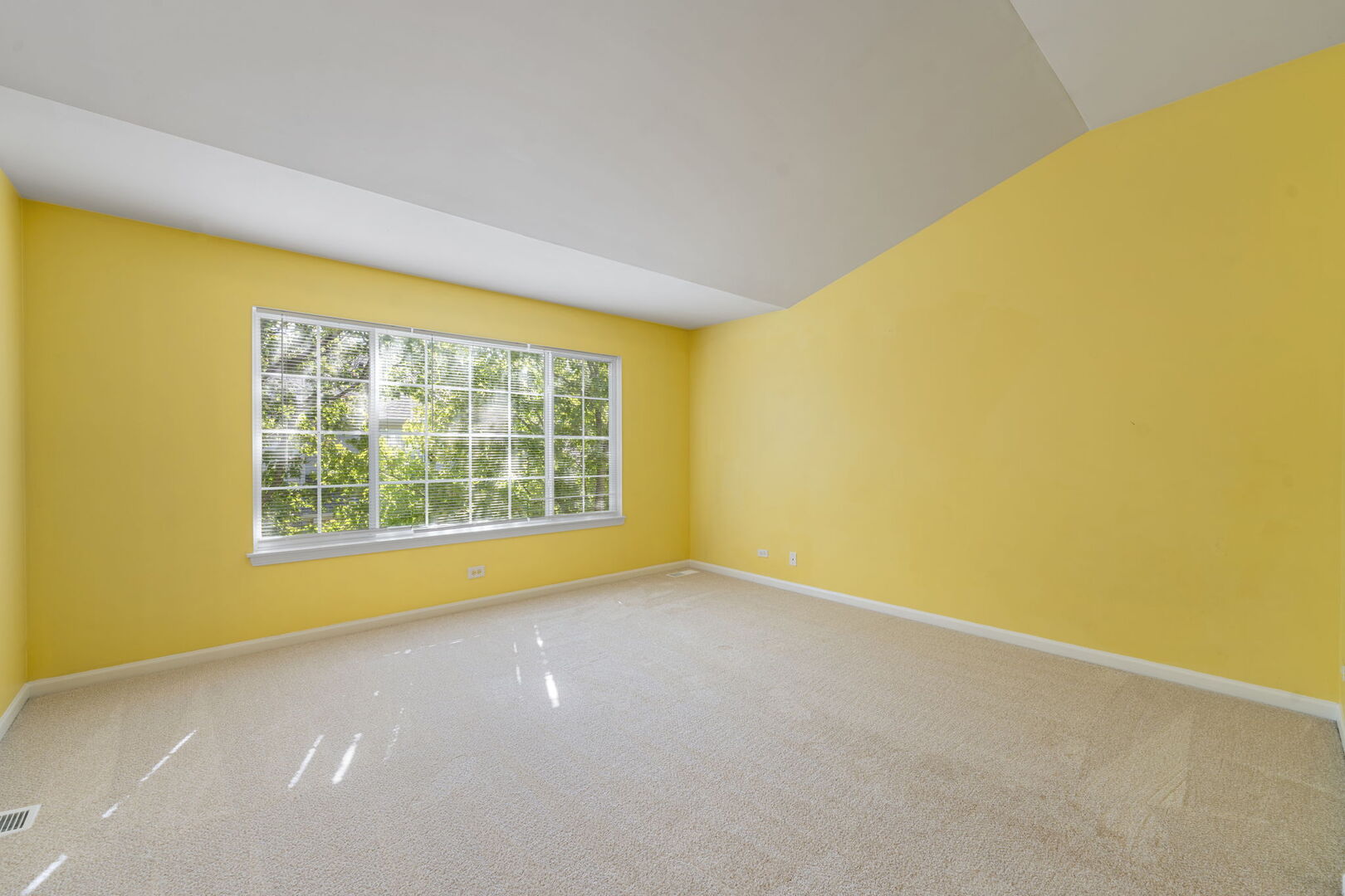 11 Bitter Spring Court Algonquin, IL 60102 - Photo 17 of 35