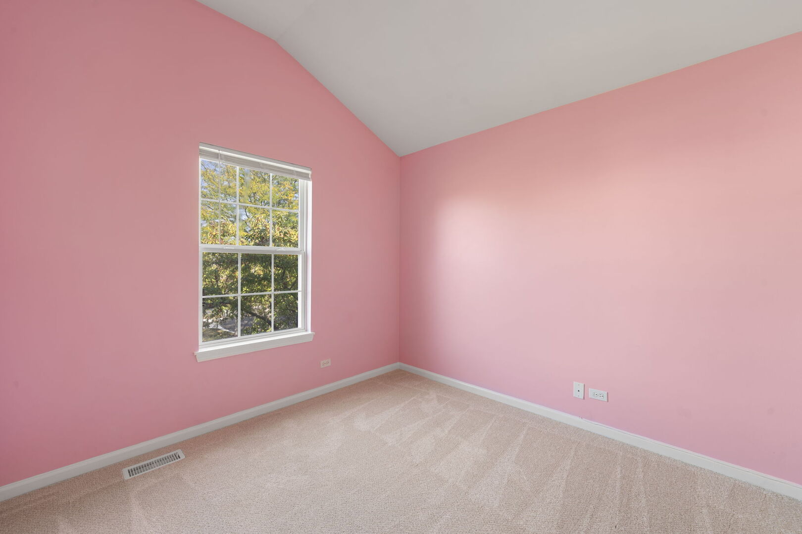 11 Bitter Spring Court Algonquin, IL 60102 - Photo 23 of 35