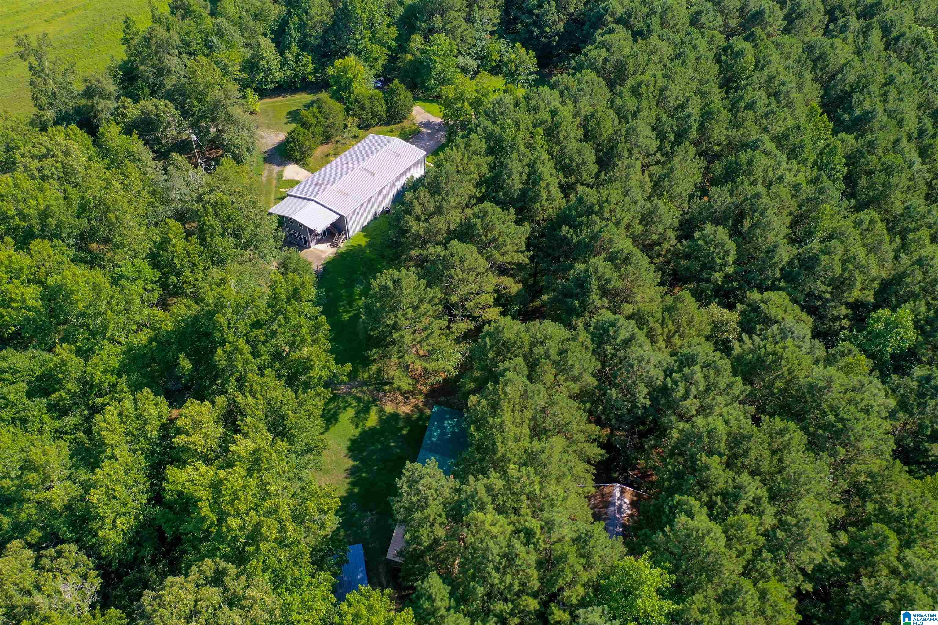 1031 Reneau Road Oneonta, AL 35121 - Photo 4 of 50