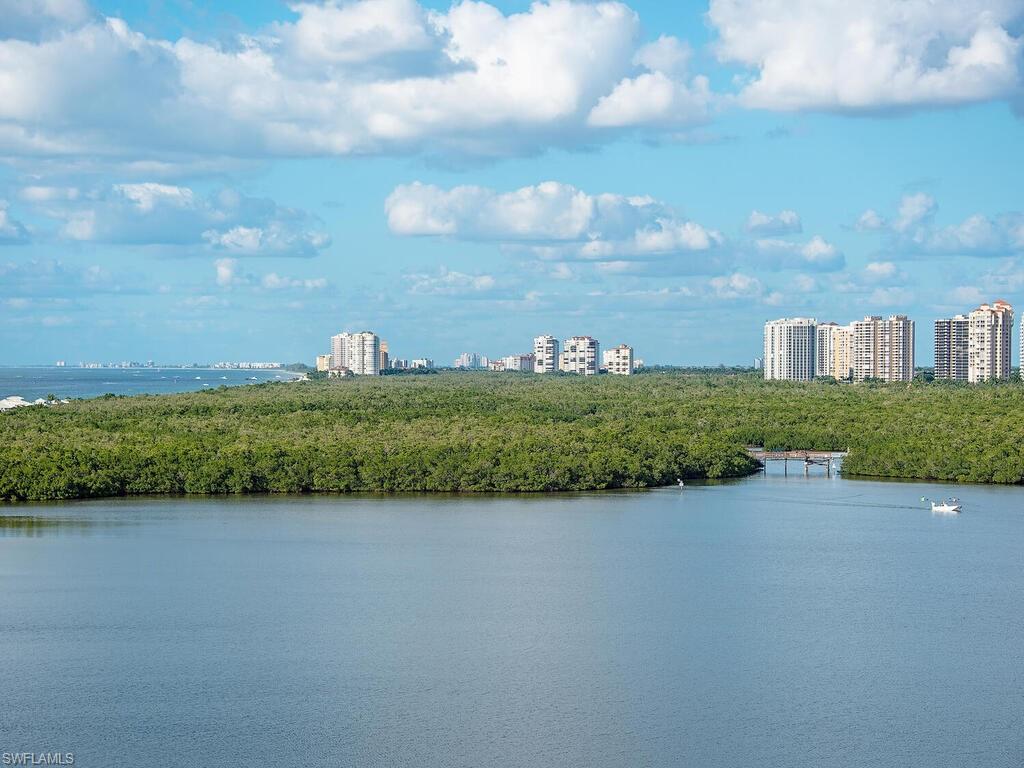 60 Seagate Drive, Unit 904 Naples, FL 34103 - Photo 6 of 35 a view of a lake from a yard
