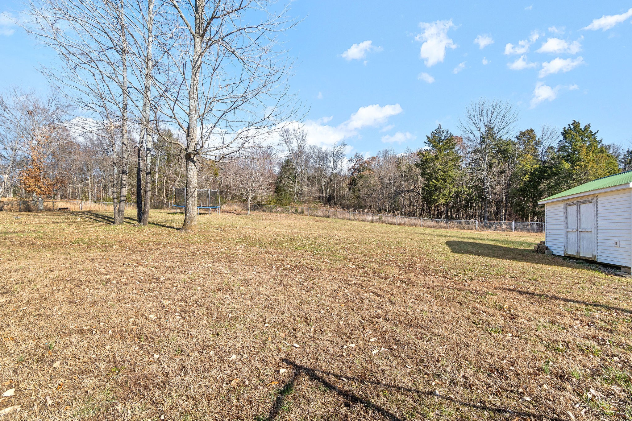8610 Princeton Road Cerulean, KY 42215 - Photo 44 of 46 a view of outdoor space with trees all around