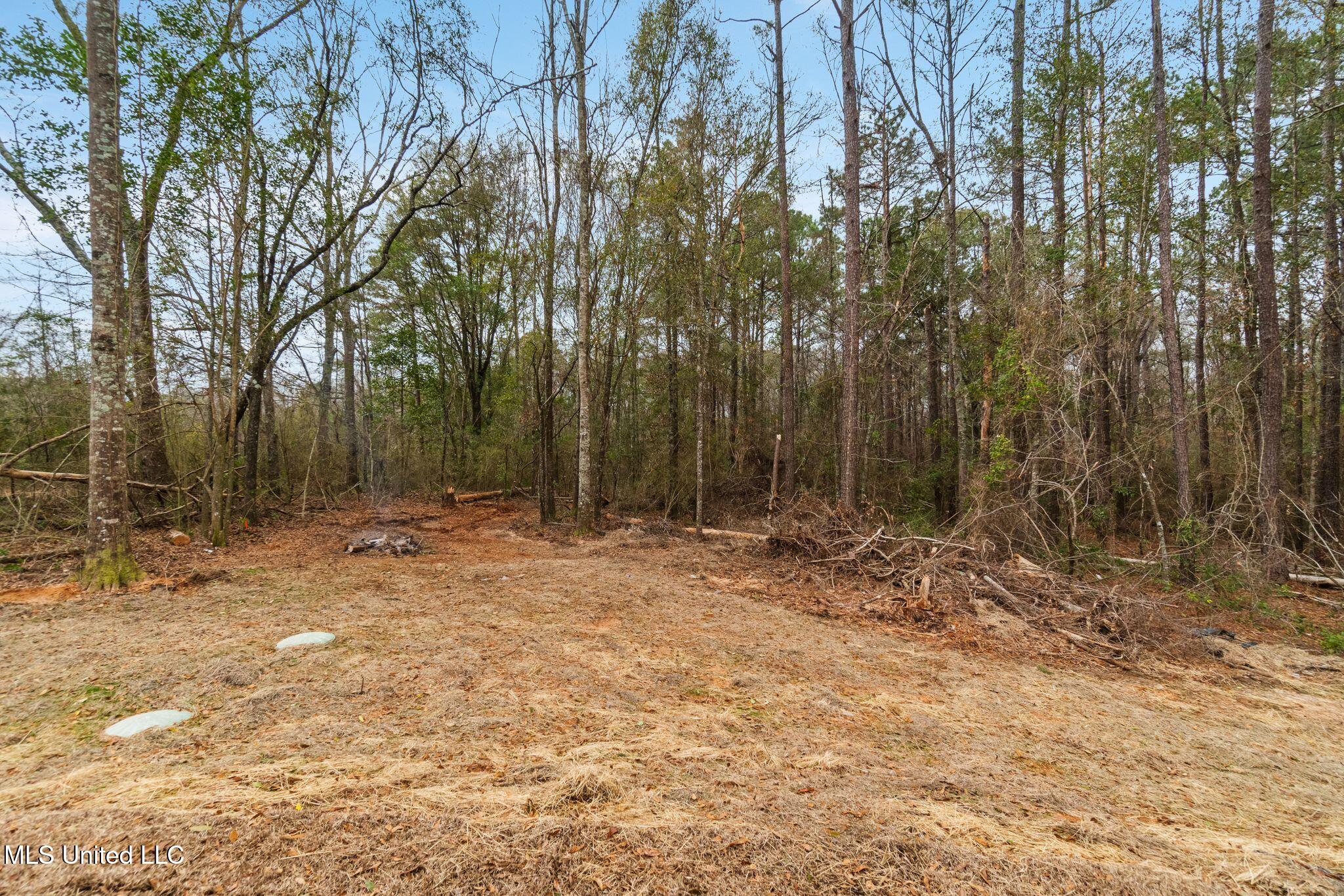 2461 Rocky Branch Road Sumrall, MS 39482 - Photo 30 of 33 2461_Rocky_Branch_Rd-30