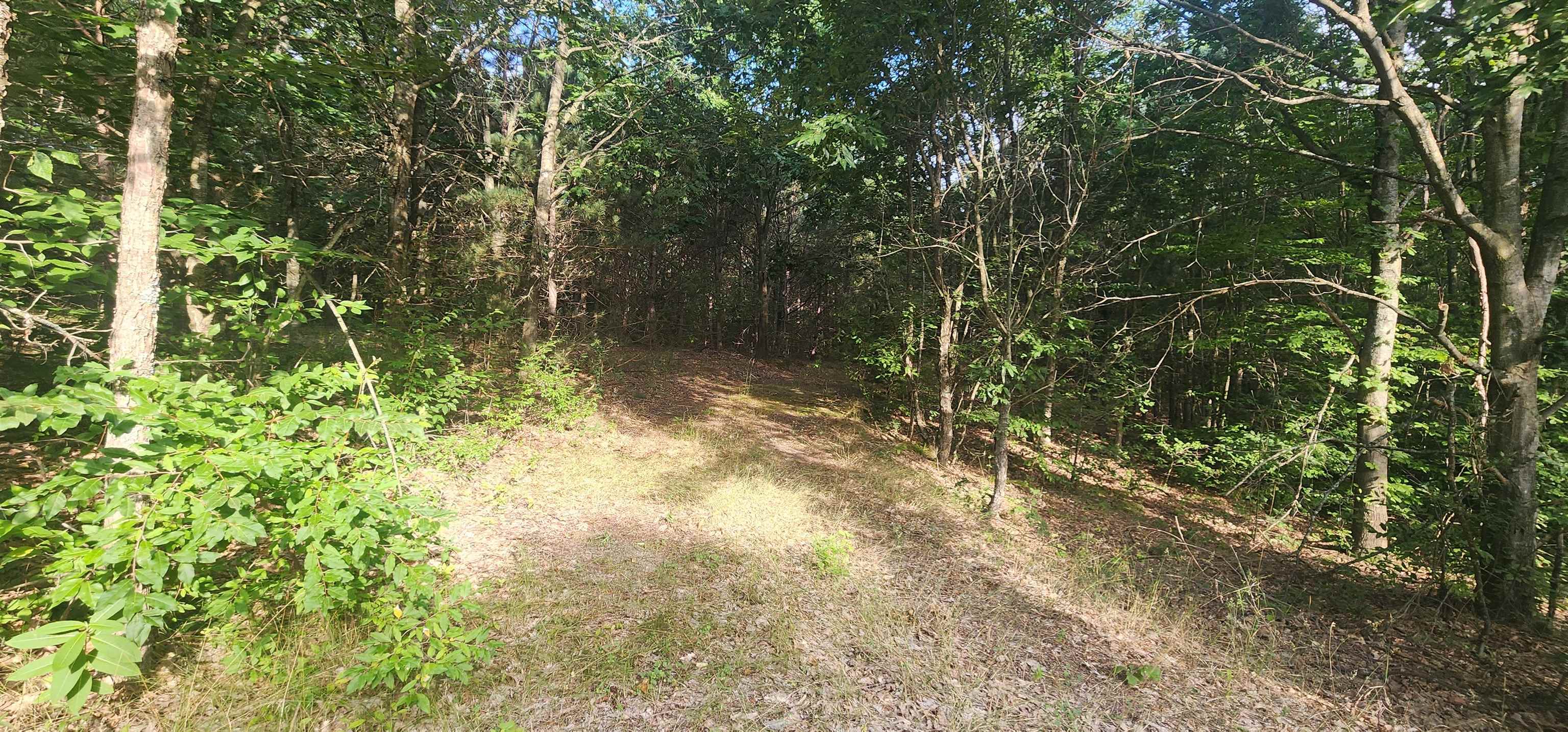 0 West Phelps Road Manton, MI 49663 - Photo 1 of 12
