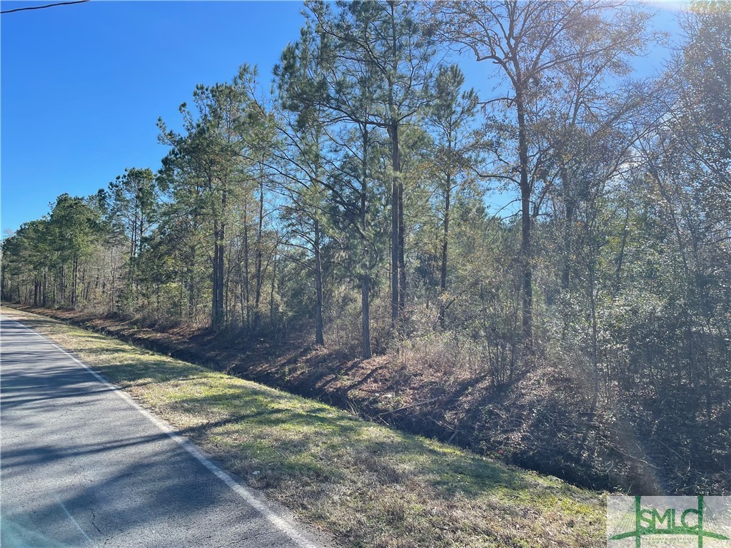 7 Little McCall Road Rincon, GA 31326 - Photo 2 of 4