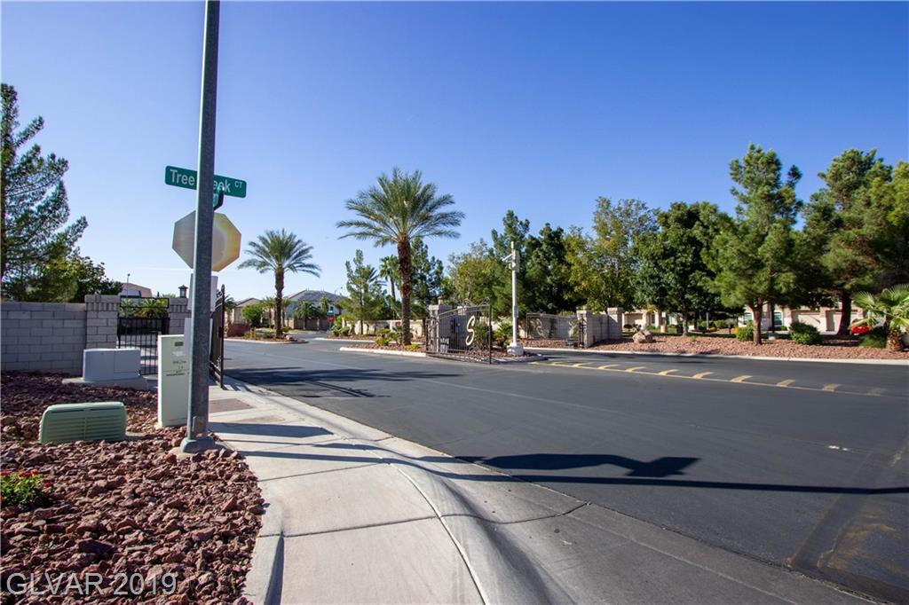 10220 Rising Tree Street Las Vegas, NV 89183 - Photo 22 of 38