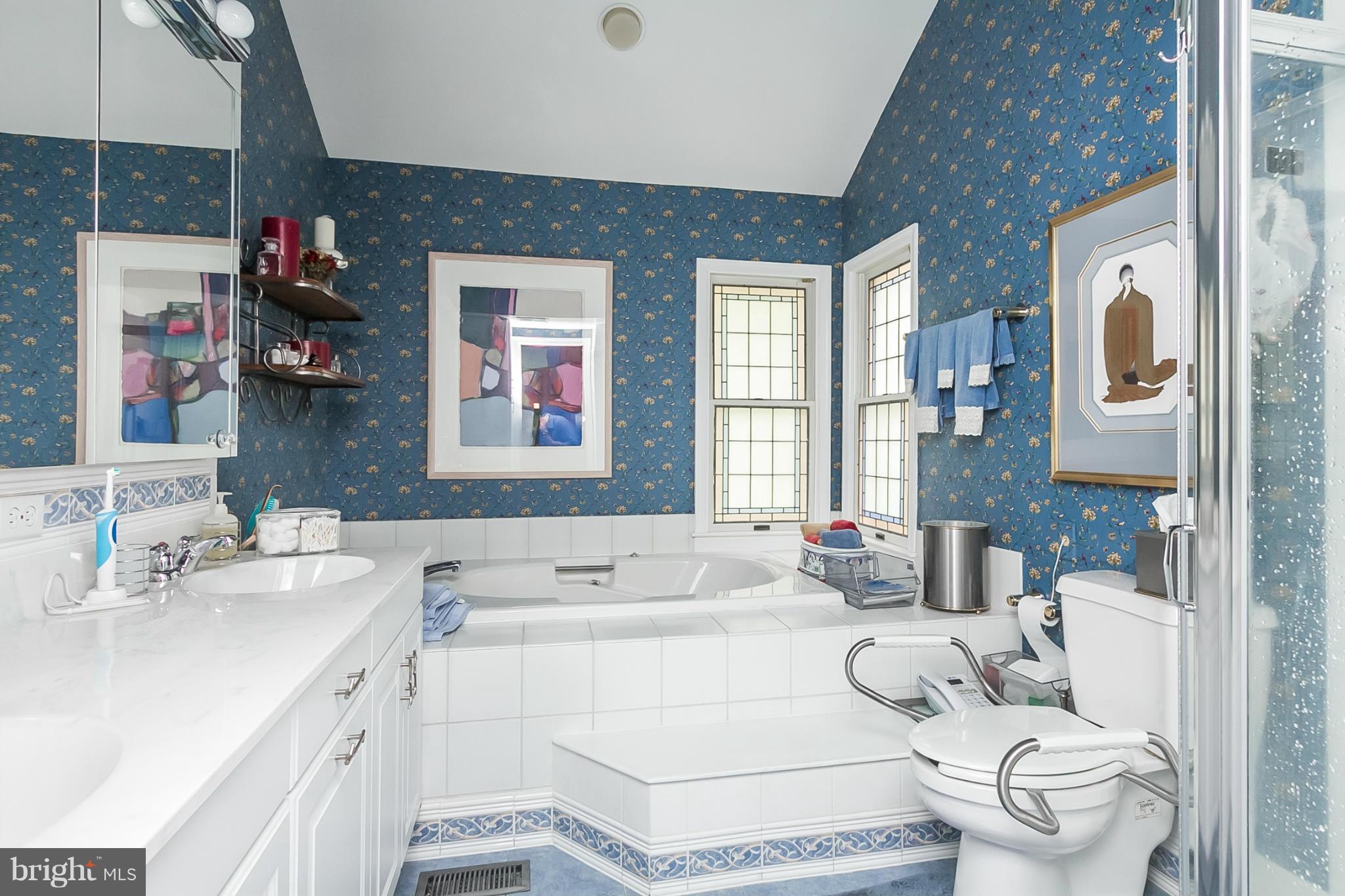 47 Raisin Tree Circle Pikesville, MD 21208 - Photo 15 of 30 Bath (Master)