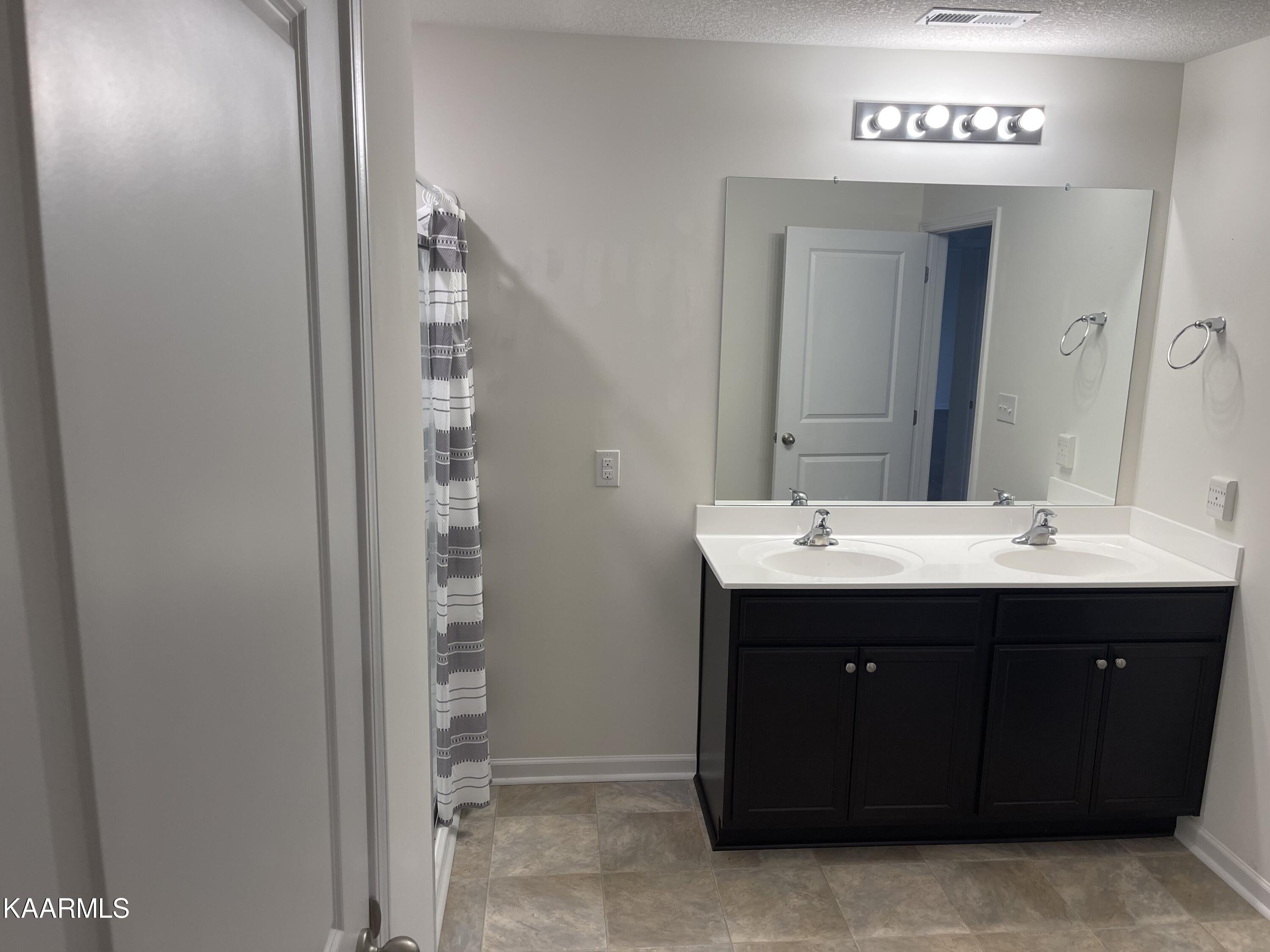 1629 River Poppy Road Mascot, TN 37806 - Photo 20 of 23 Master Bath