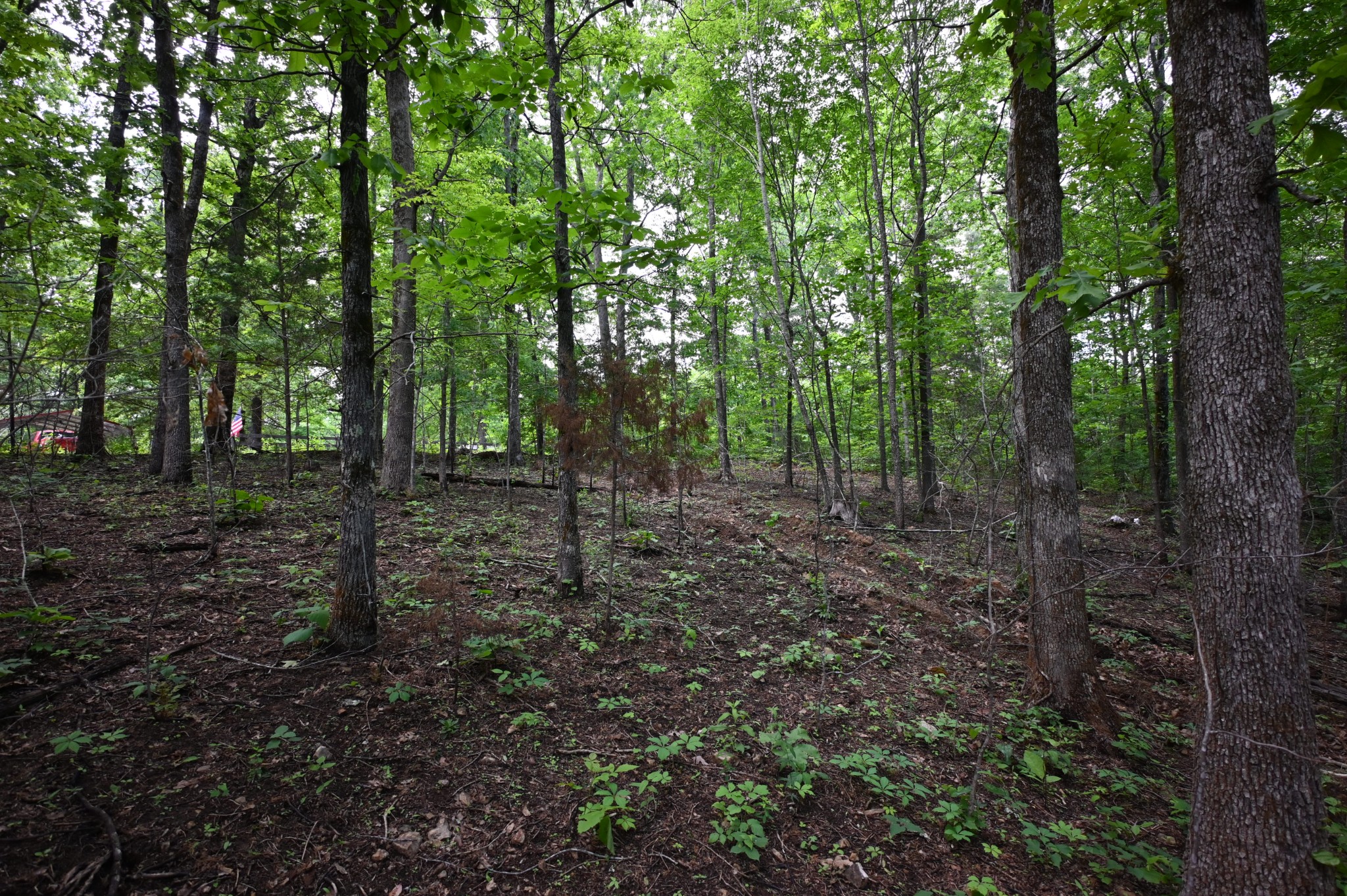 163 Fern Springs Road Hohenwald, TN 38462 - Photo 23 of 25 Gallery Image 23