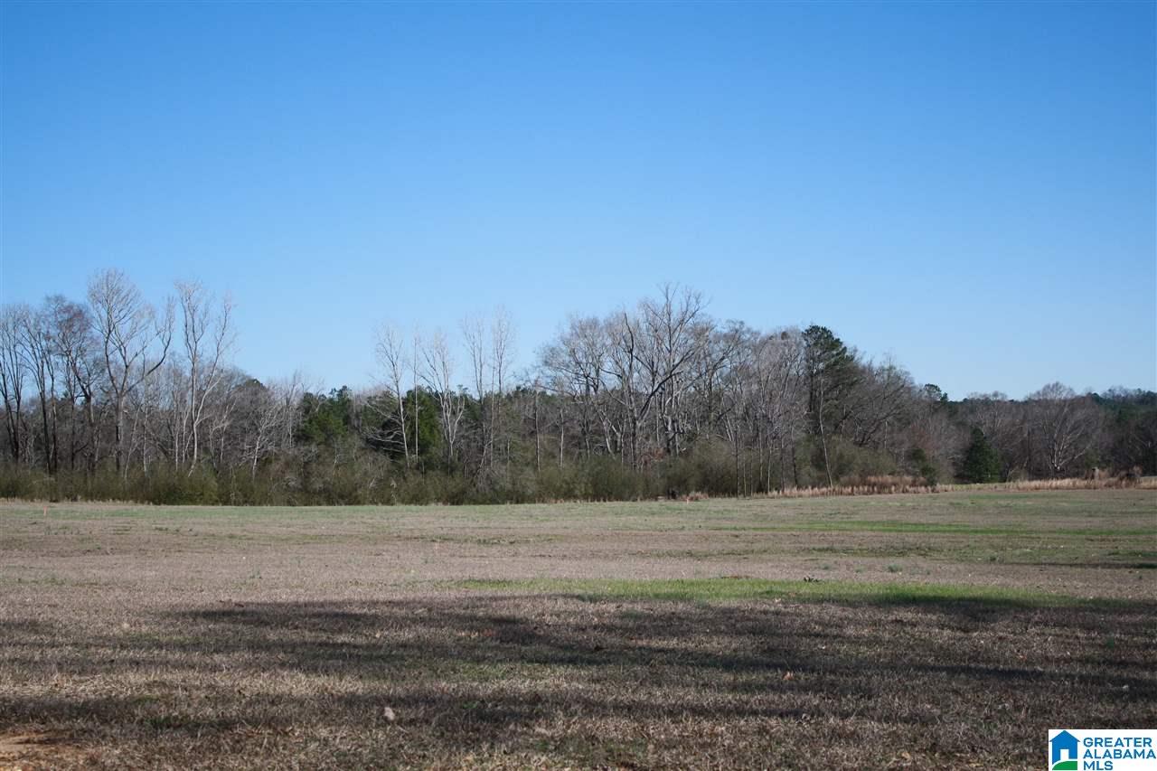 9502 County Road 15 Clanton, AL 35045 - Photo 32 of 34