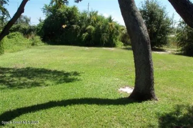 a view of a garden with a tree