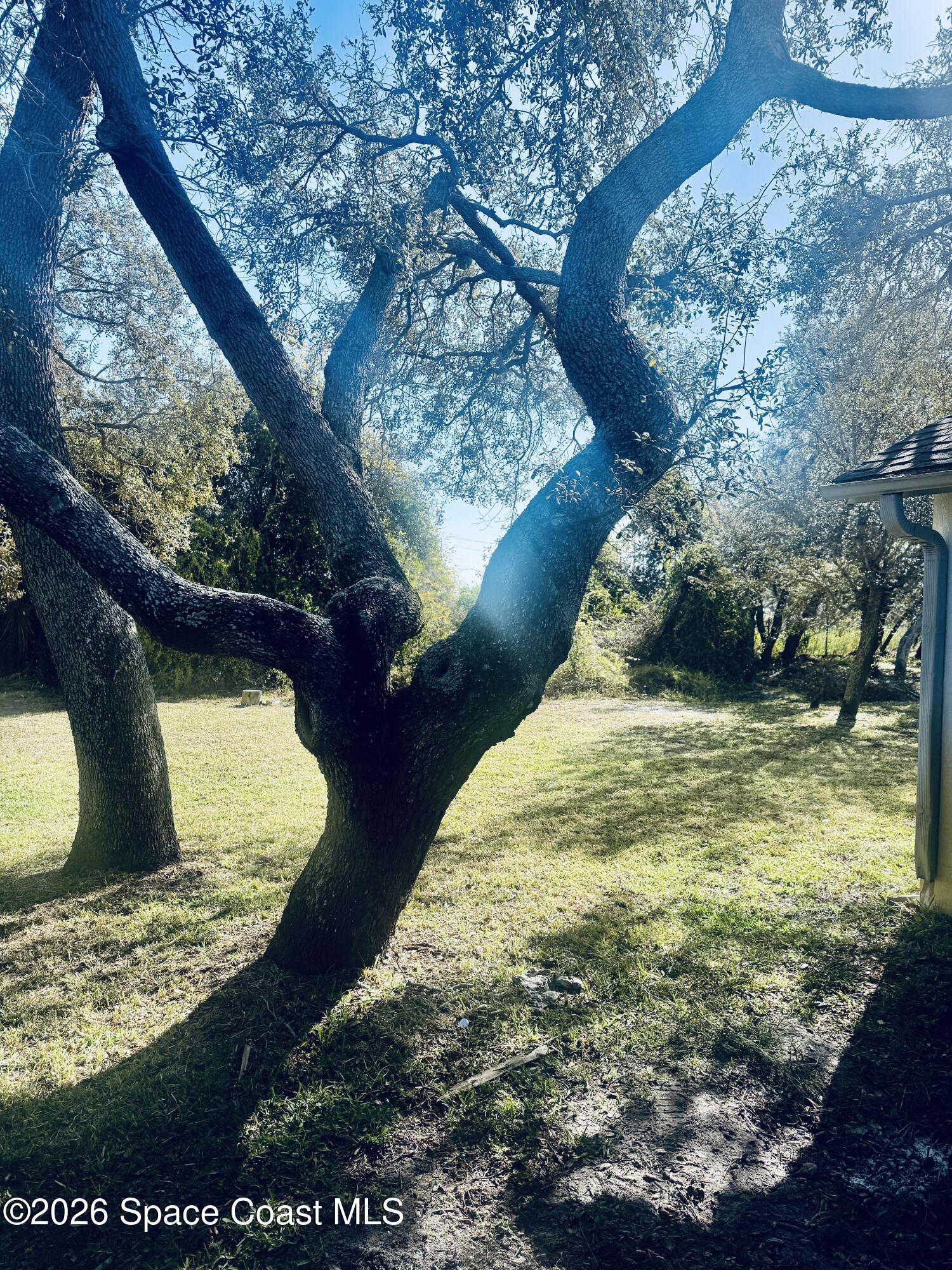 4795 Riverside Road Palm Shores, FL 32935 - Photo 33 of 33 a view of outdoor space and yard