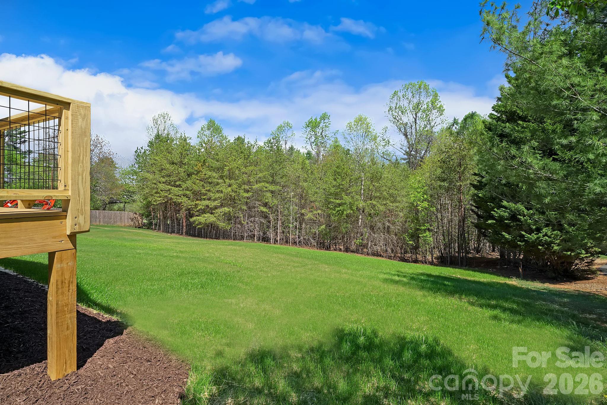 343 Olivette Road Asheville, NC 28804 - Photo 26 of 29 a view of a garden with a tree