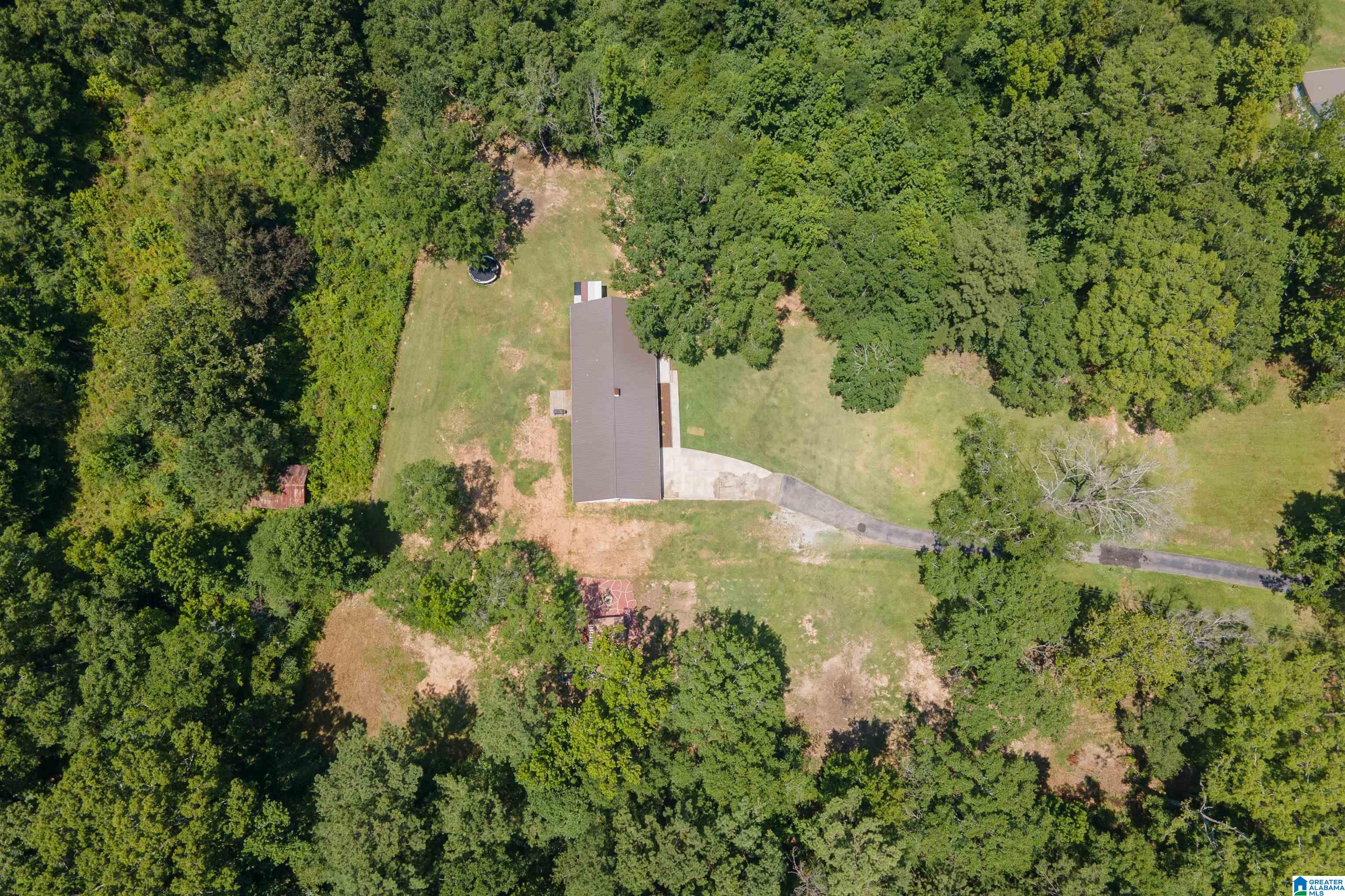 3419 Old Coal City Road Pell City, AL 35125 - Photo 45 of 47