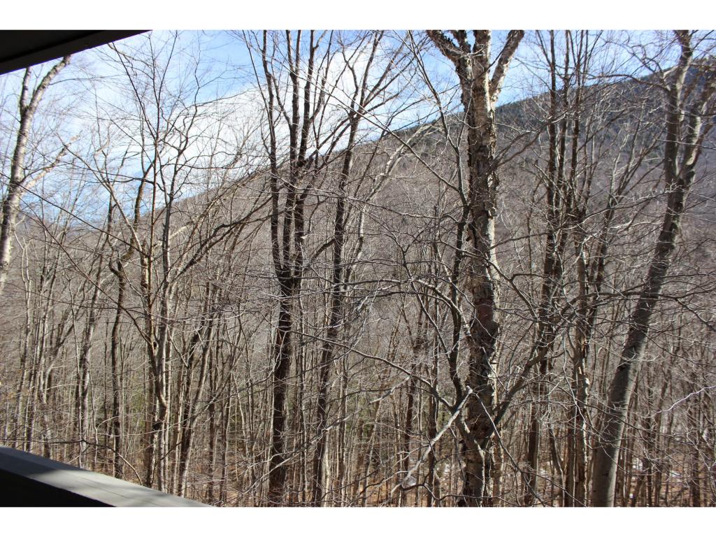 104 Easterly Road, Unit 1 Lincoln, NH 03251 - Photo 27 of 36