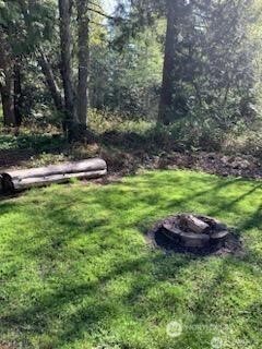 0 X Weasel Run Point Point Roberts, WA 98281 - Photo 3 of 5