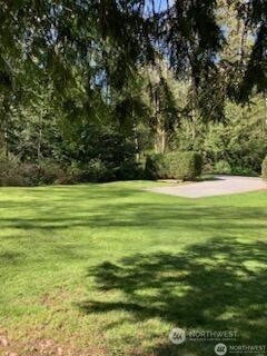 0 X Weasel Run Point Point Roberts, WA 98281 - Photo 4 of 5