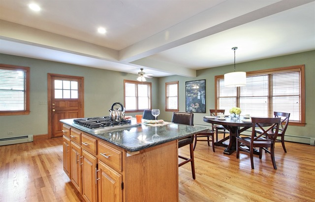 229 Wisner Street Park Ridge, IL 60068 - Photo 4 of 20