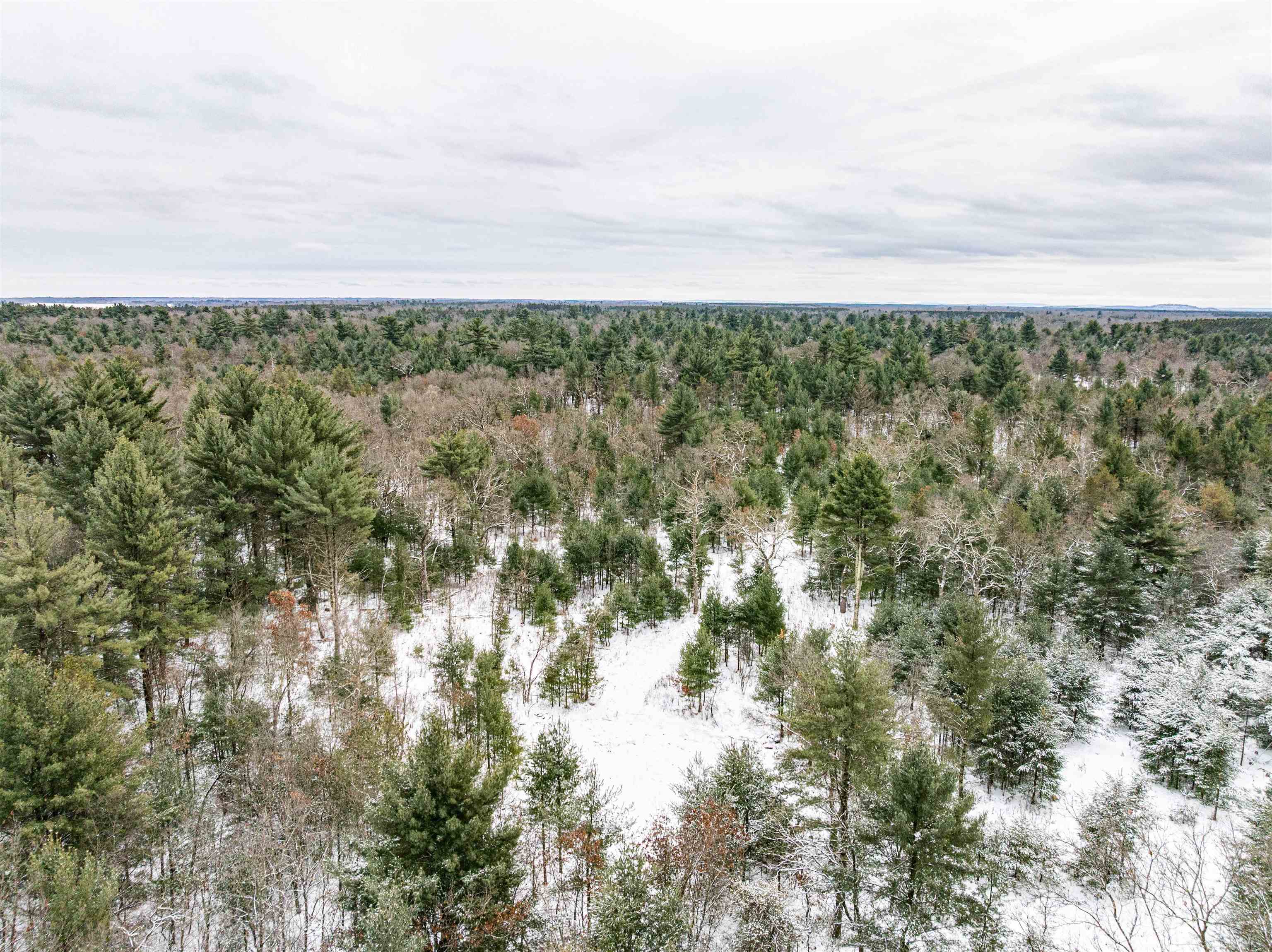 42.5-ac Freedom Wisconsin Dells, WI 53965 - Photo 16 of 42