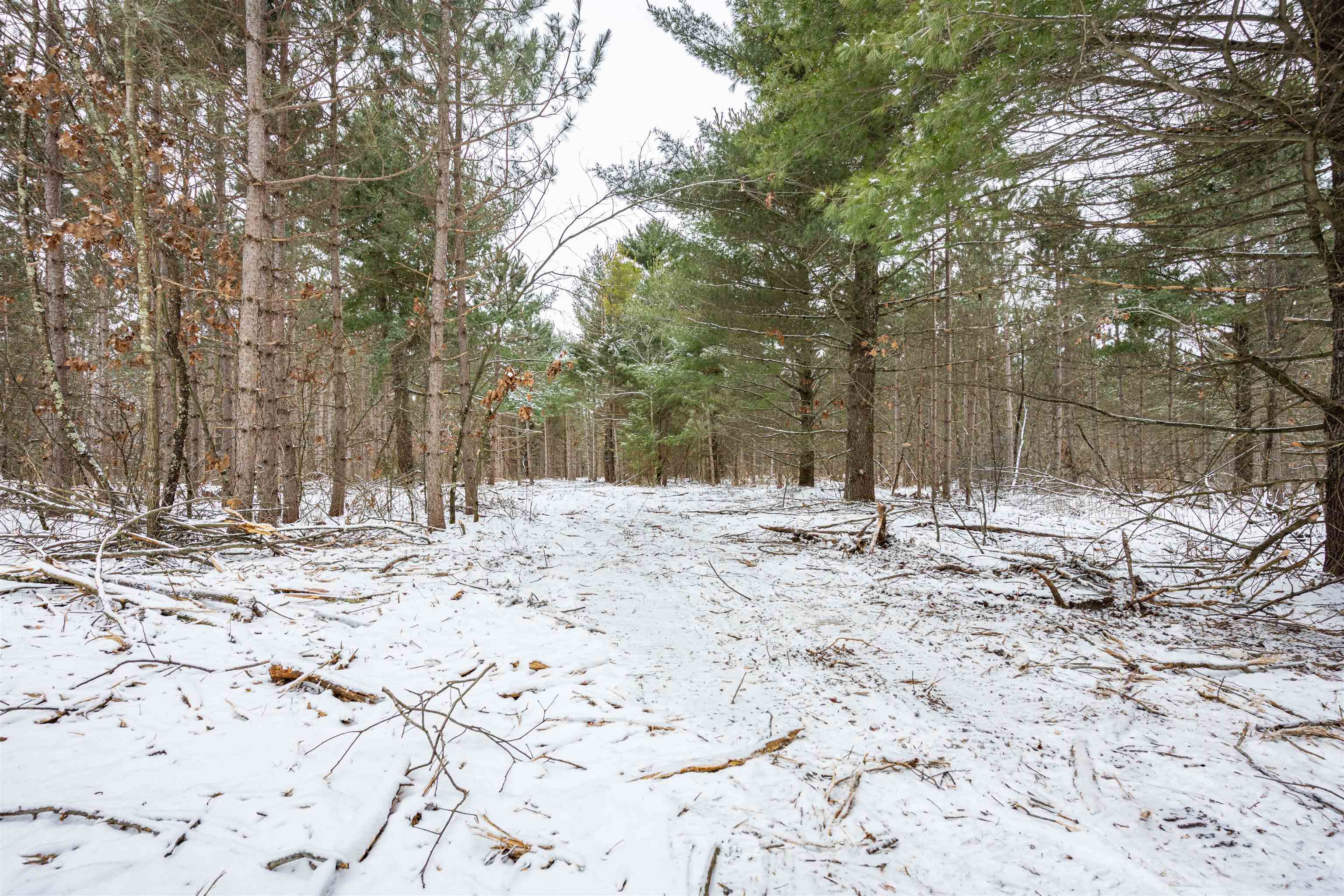 42.5-ac Freedom Wisconsin Dells, WI 53965 - Photo 19 of 42