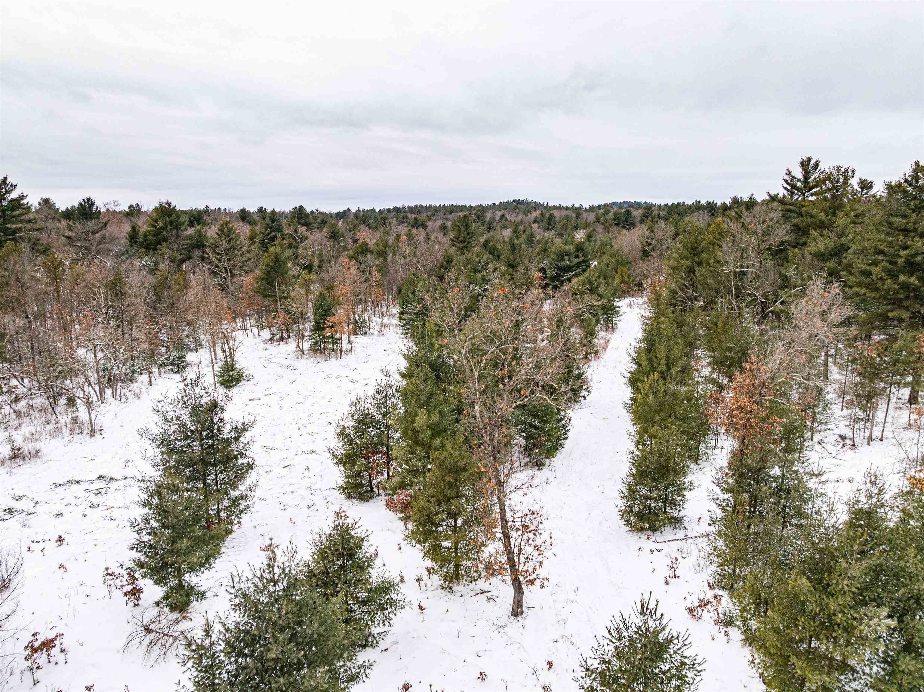 42.5-ac Freedom Wisconsin Dells, WI 53965 - Photo 29 of 42