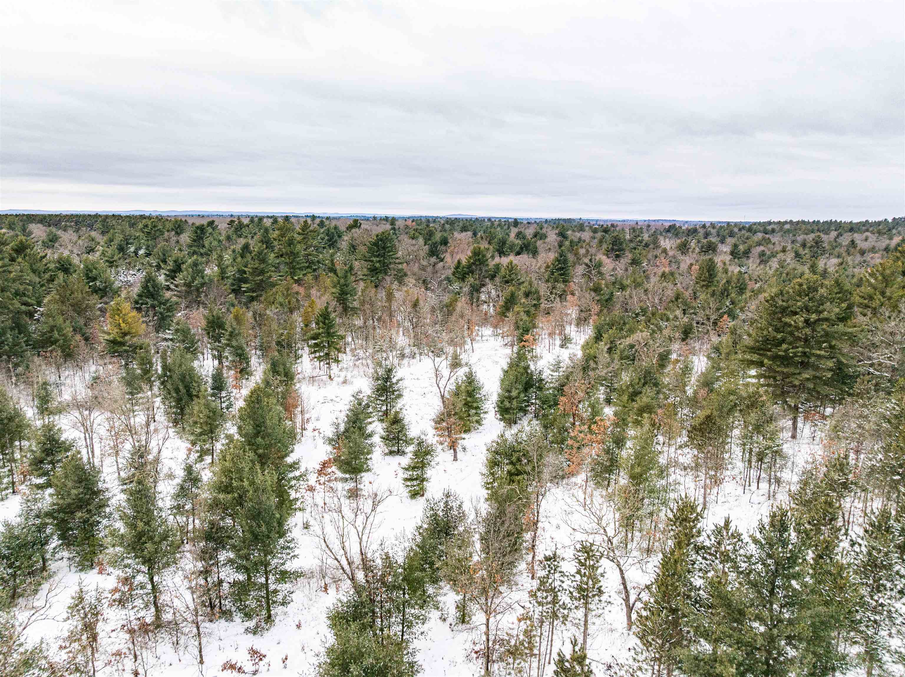 42.5-ac Freedom Wisconsin Dells, WI 53965 - Photo 30 of 42