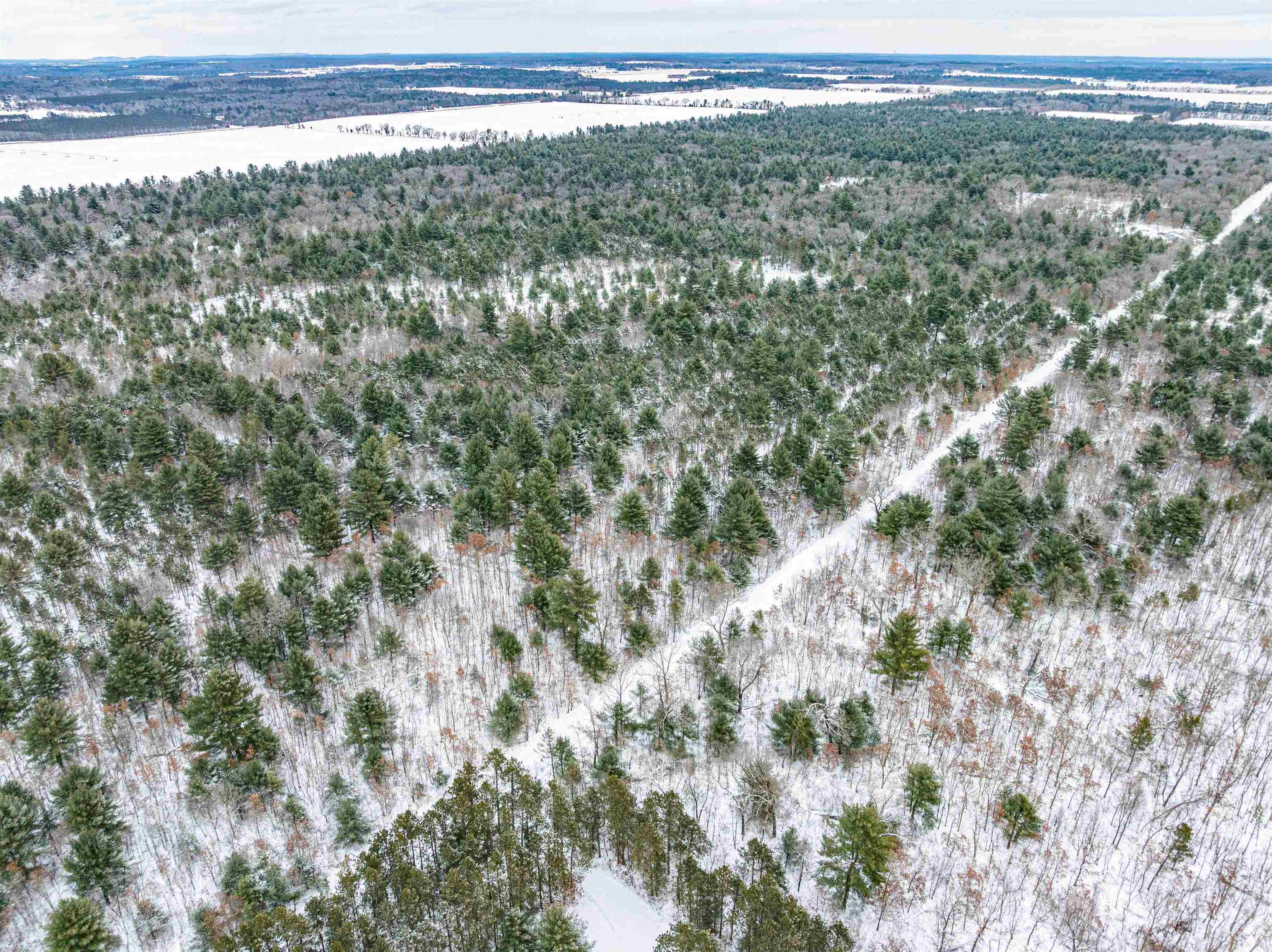 42.5-ac Freedom Wisconsin Dells, WI 53965 - Photo 3 of 42