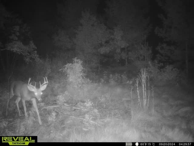 42.5-ac Freedom Wisconsin Dells, WI 53965 - Photo 37 of 42